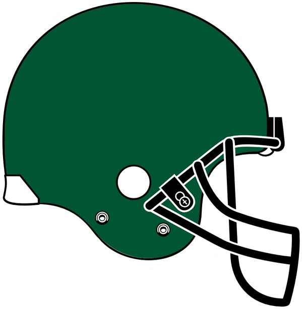 Tulane Green Wave 2005 Helmet Logo iron on transfers for T-shirts